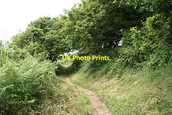 Photo 6"x4" Lanteglos: footpath from Pont Quay 2 Fowey c2009