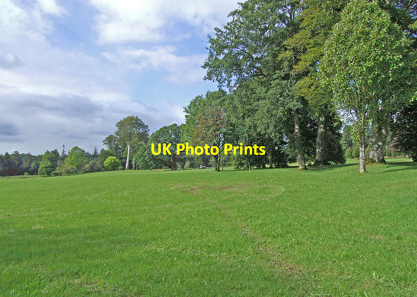 Photo 6"x4" Birr Castle grounds Birr c2008