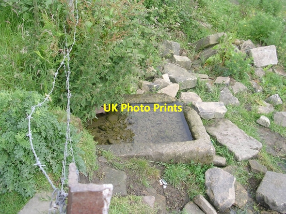 Photo 6"x4" Spring Well - Owlcotes Lane Pudsey\/SE2233 c2009