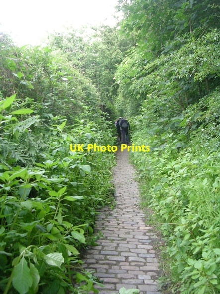 Photo 6"x4" Footpath - leading from Gibraltar Bottom Pudsey\/SE2233 c2009