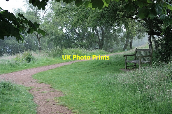 Photo 6"x4" Seats on the Malverns Little Malvern c2009