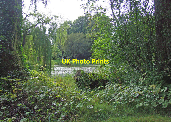 Photo 6"x4" Birr Castle gardens Birr c2008