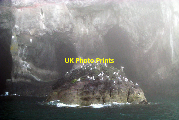 Photo 6"x4" The Gobbins Ballycarry c2009 P1