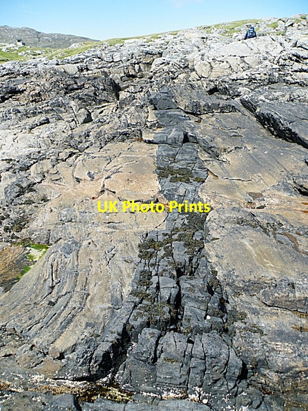 Photo 6"x4" Cross-cutting Dykes Breibhig\/NL6998 c2009