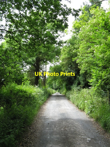 Photo 6"x4" Track To Pervin Farm Marlbrook\/SO5054 c2009