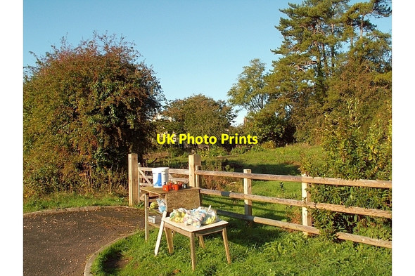 Photo 6"x4" Roadside produce stall Martinstown or Winterbourne St Martin c2007