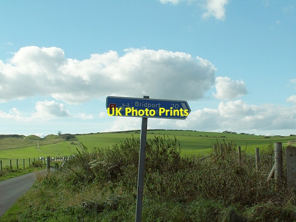 Photo 6"x4" Cycle route sign Dorchester\/SY6890 c2007