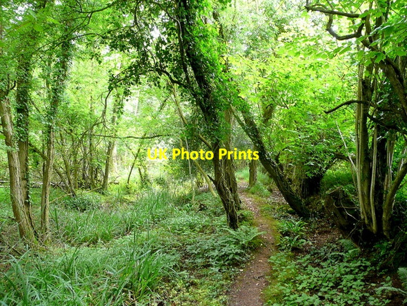 Photo 6"x4" Path west of Bailey Pit Farm Monmouth\/Trefynwy c2009