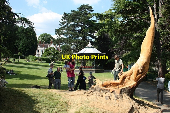 Photo 6"x4" Tree sculpture, Priory Park Great Malvern c2009
