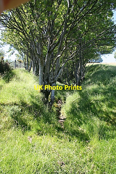 Photo 6"x4" Dry Watercourse Dufftown c2009