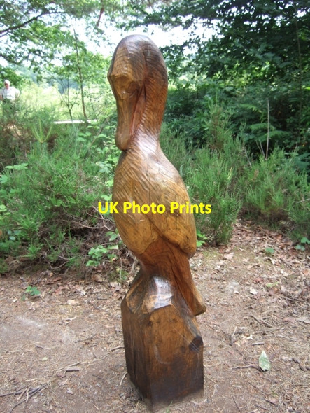 Photo 6"x4" Carving of cormorant, Stover Country Park Heathfield\/SX8376 c2009