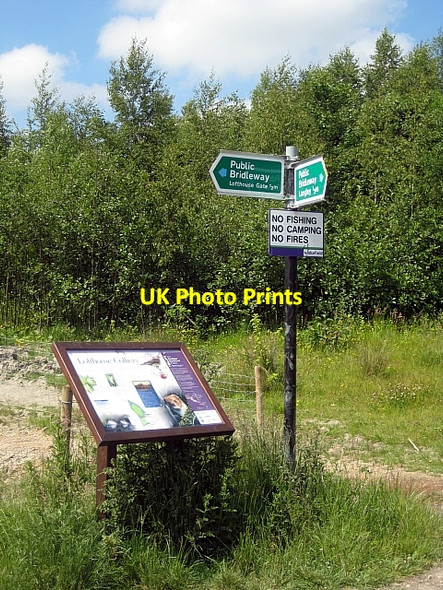 Photo 6"x4" Lofthouse Colliery Park Carr Gate c2009 P5