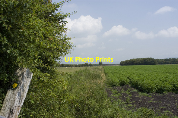 Photo 6"x4" Start of Crawleys Dyke path Winmarleigh Moss c2009