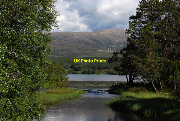Photo 6"x4" The outflow from Loch Morlich Loch Morlich c2009