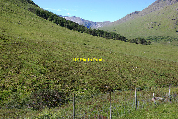 Photo 6"x4" Slopes south of the River Etive Dalness\/NN1651 c2009