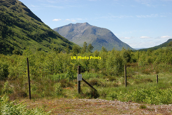 Photo 6"x4" Woodland below Dalness Dalness\/NN1651 c2009