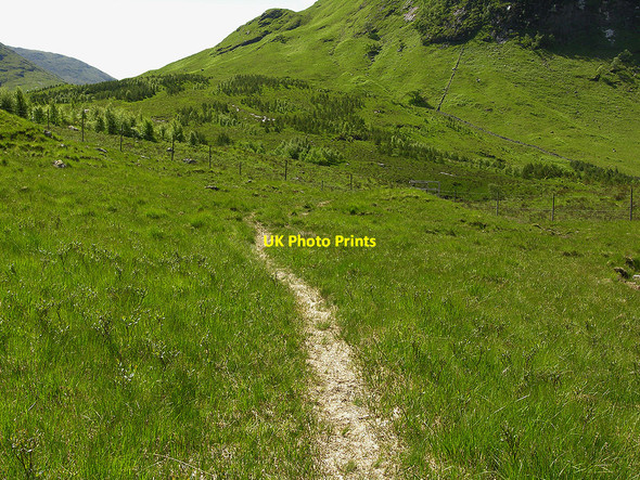 Photo 6"x4" Path bypassing Alltchaorunn Dalness\/NN1651 c2009
