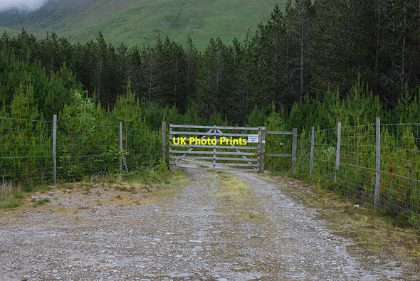 Photo 6"x4" Locked forestry gate River Cluanie c2009