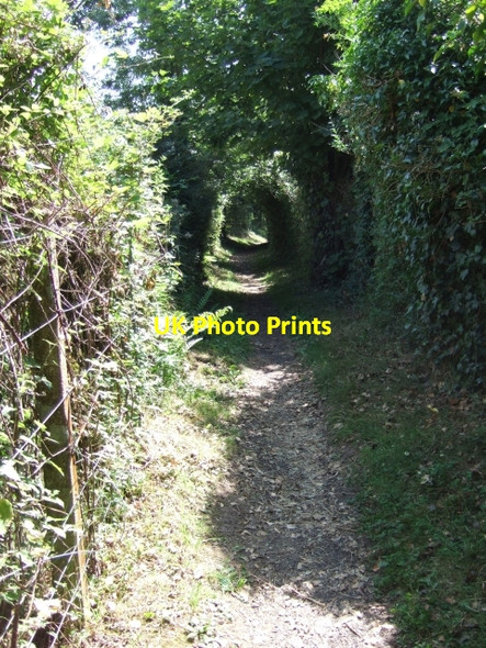 Photo 6"x4" Footpath beside railway line Sandy Gate\/SX9691 c2009