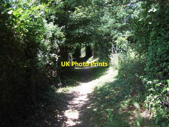 Photo 6"x4" Footpath beside railway line Sandy Gate\/SX9691 c2009 P1