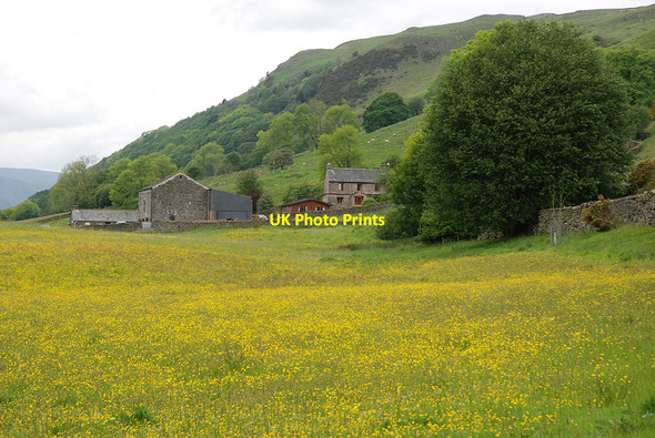 Photo 6"x4" Meadow by Murthwaite Garnett Bridge c2009