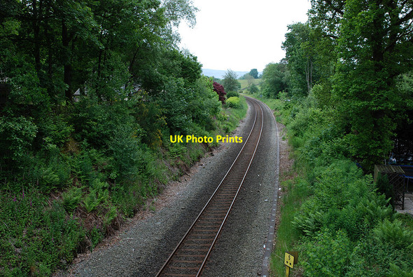 Photo 6"x4" The Windermere railway at Plantation Bridge Plantation Bridge c2009