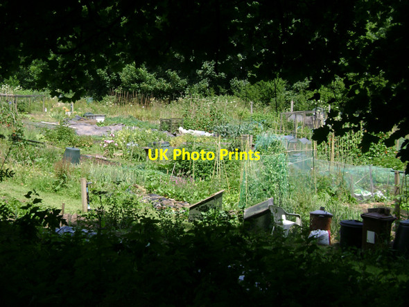 Photo 6"x4" Allotments off Aller Hill, Dawlish Dawlish c2009