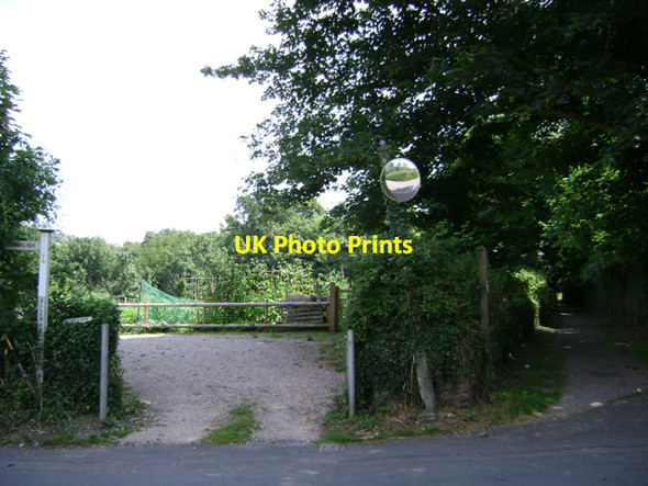 Photo 6"x4" Allotments off Aller Hill, Dawlish (2) Dawlish c2009