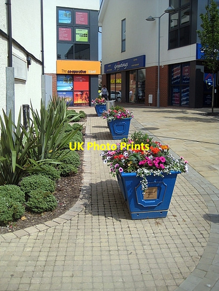 Photo 6"x4" Floral tubs Rothwell\/SE3428 c2009