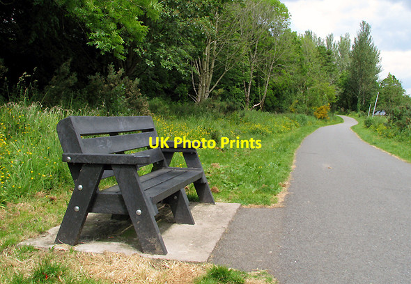 Photo 6"x4" Bench on the Lagan towpath Drumbeg\/J3066 c2009