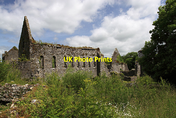 Photo 6"x4" Bridgetown Priory Castletownroche c2009