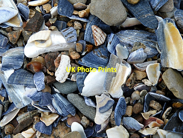 Photo 6"x4" Shell Fragments Rockcliffe\/NX8453 c2009