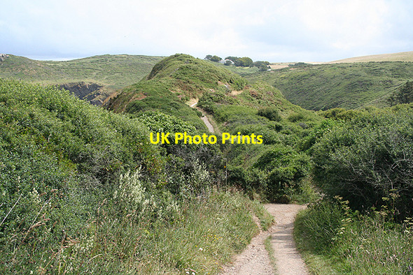 Photo 6"x4" St Minver Highlands: link to coastpath Porteath c2009