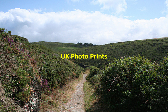 Photo 6"x4" St Minver Highlands: near Lundy Hole Porteath c2009