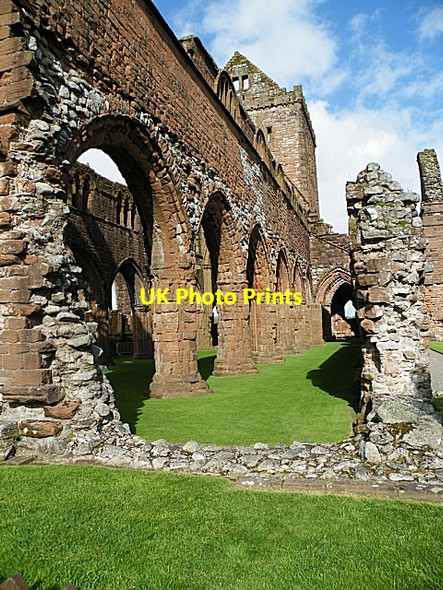 Photo 6"x4" Sweetheart Abbey New Abbey c2009