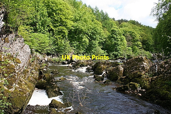 Photo 6"x4" Penton Linns Warwicksland c2009
