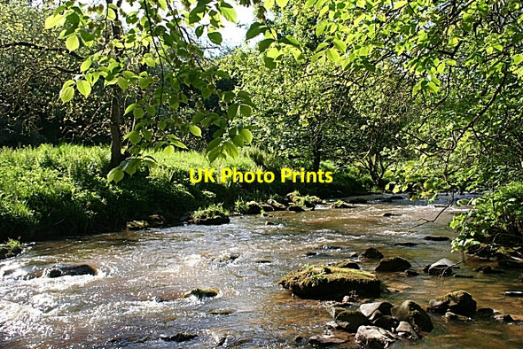 Photo 6"x4" Kirtle Water Springkell c2009 P1