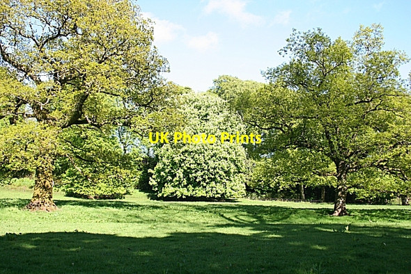 Photo 6"x4" Parkland at Springkell Springkell c2009