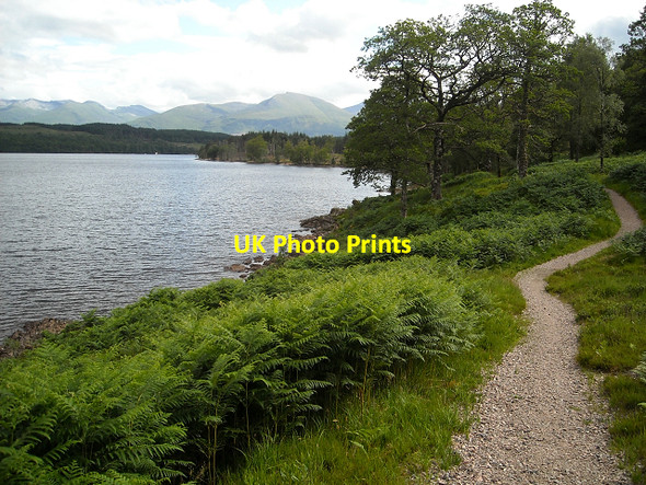 Photo 6"x4" Great Glen Way at Loch Lochy Bunarkaig c2009