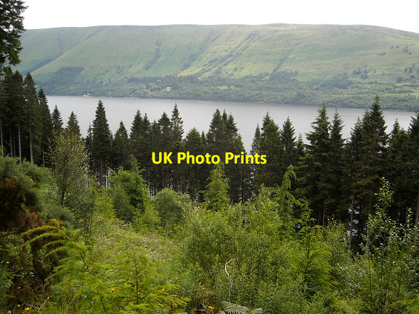Photo 6"x4" View Over Forest Towards Loch Lochy Clunes c2009