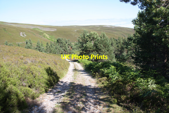 Photo 6"x4" Track in Glen Tulchan Allt na L\u00f2ine Mh\u00f2ir c2009