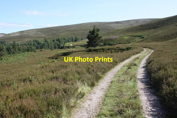 Photo 6"x4" Track in Glen Tulchan Carn na h-Eige c2009