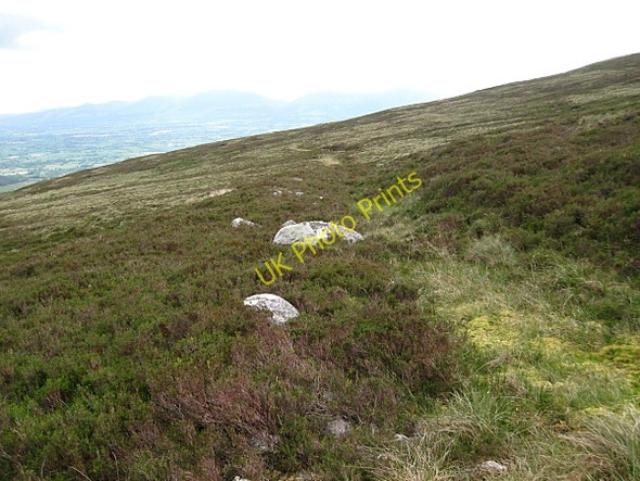 Photo 6"x4" Ancient Trackway Rossadrehid c2009