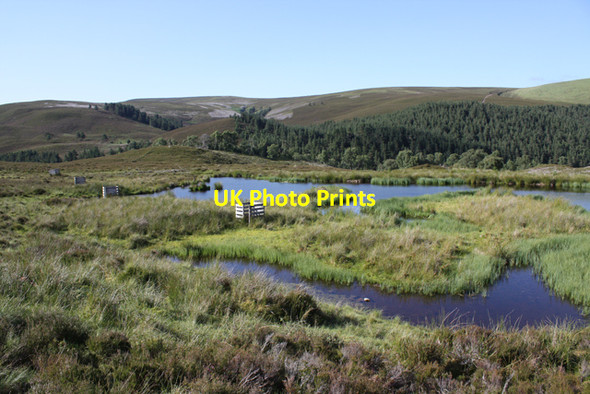 Photo 6"x4" Lochan, Glen Tulchan Advie c2009