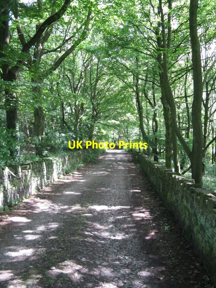 Photo 6"x4" Walkerwood - Track To The Reservoir Head Mossley\/SD9701 c2009