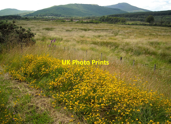 Photo 6"x4" Fields Near River Lochy Kilmonivaig c2009