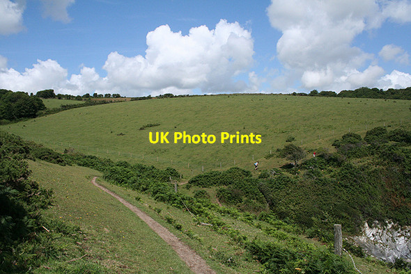 Photo 6"x4" Fowey: above Little Coombe Hawne Fowey c2009