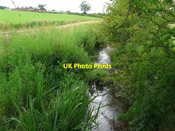 Photo 6"x4" The Trout Beck near Corby Hill Broadwath c2009