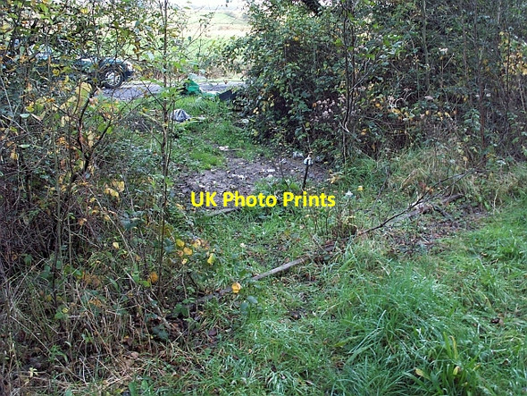 Photo 6"x4" Old railway line Pontyberem c2008