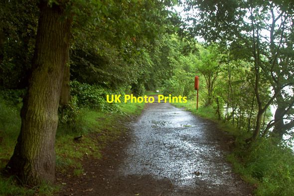 Photo 6"x4" Perimeter path of Edgbaston Reservoir Smethwick c2009